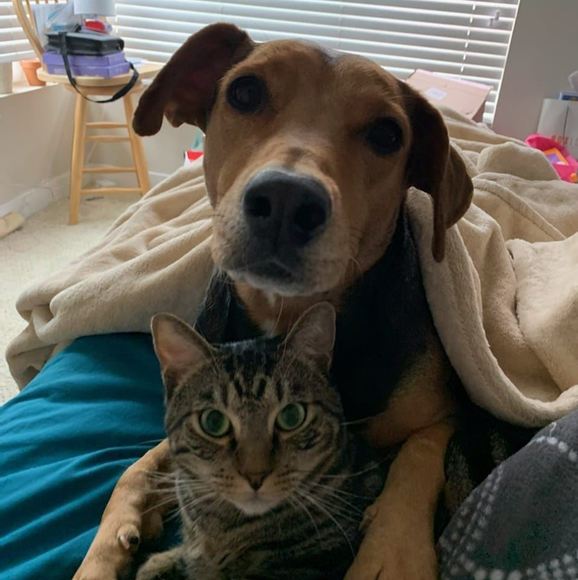 Meet your Posher, Amanda - Picture 1 of 1